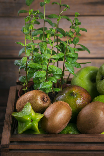 Dehydrated Sliced Kiwis